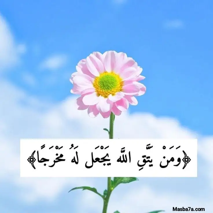  أحلام عڨون