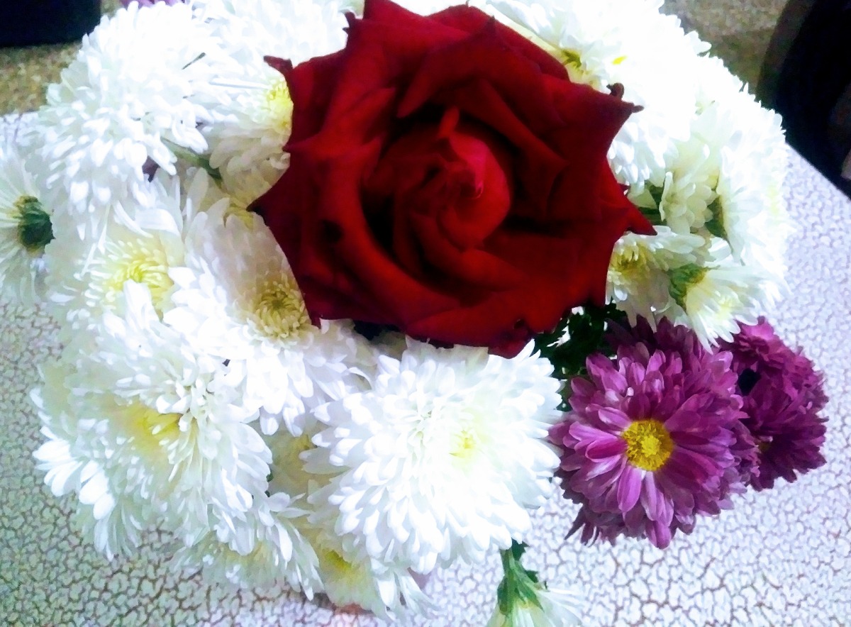 35.imane